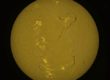 Soleil observé en H-alpha montrant des filaments et des protubérances