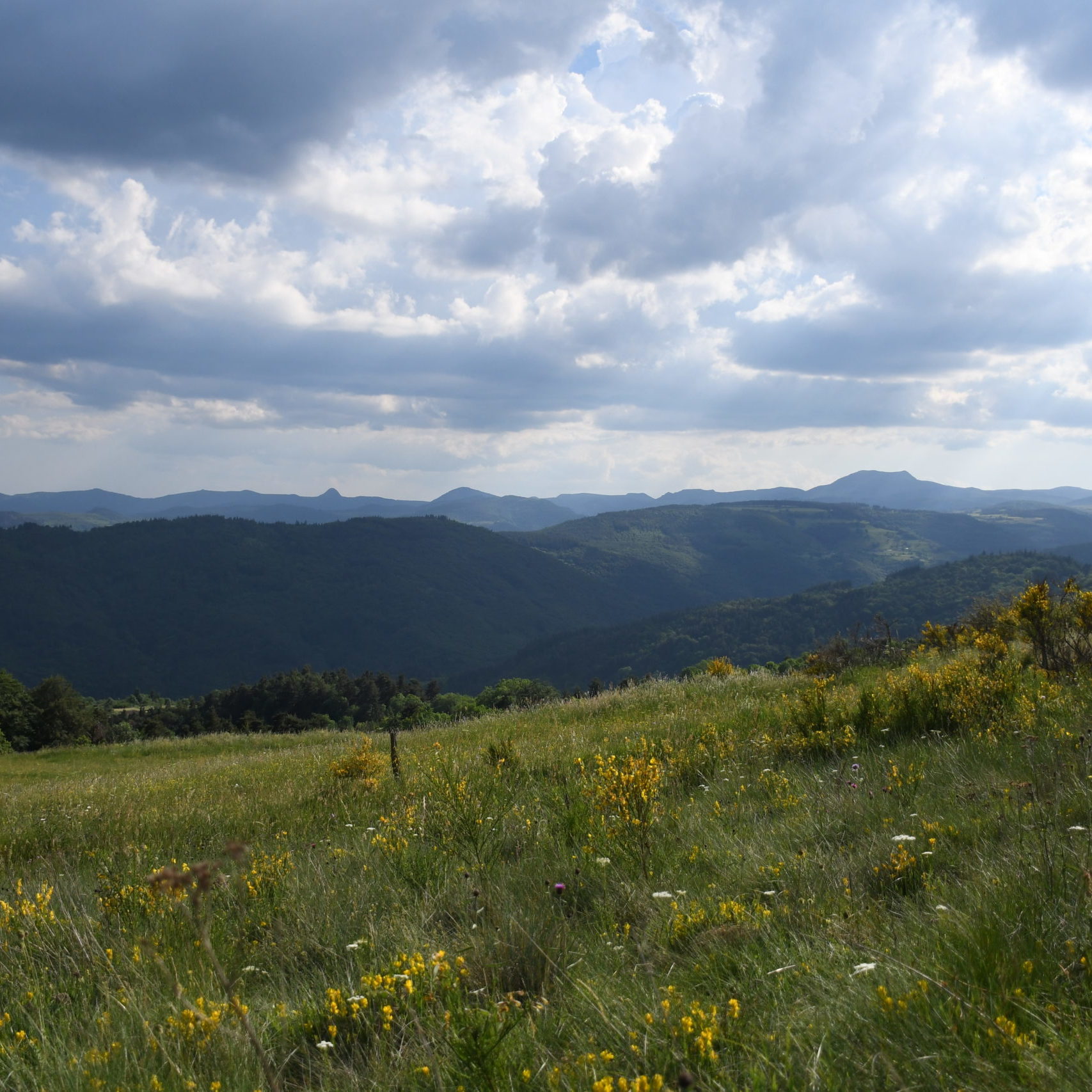 Paysage du Haut-Vivarais vers le mont Gerbier-de-Jonc et le Mézenc